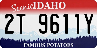 ID license plate 2T9611Y