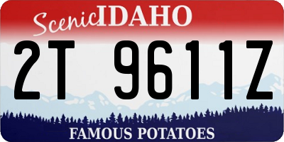 ID license plate 2T9611Z