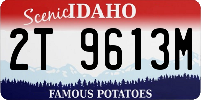 ID license plate 2T9613M