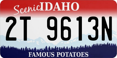 ID license plate 2T9613N