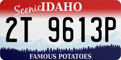 ID license plate 2T9613P