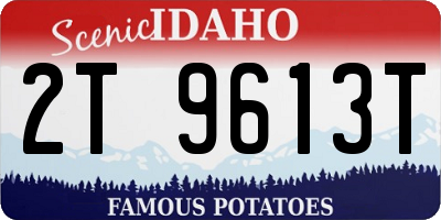 ID license plate 2T9613T