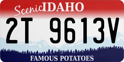 ID license plate 2T9613V