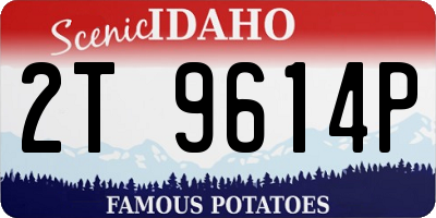 ID license plate 2T9614P