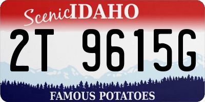 ID license plate 2T9615G