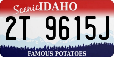ID license plate 2T9615J