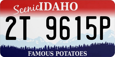 ID license plate 2T9615P