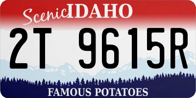 ID license plate 2T9615R