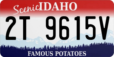 ID license plate 2T9615V
