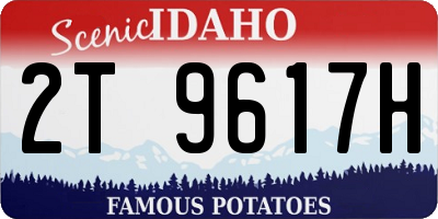 ID license plate 2T9617H