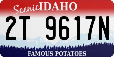 ID license plate 2T9617N