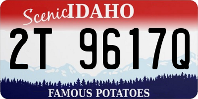 ID license plate 2T9617Q