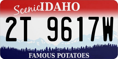 ID license plate 2T9617W