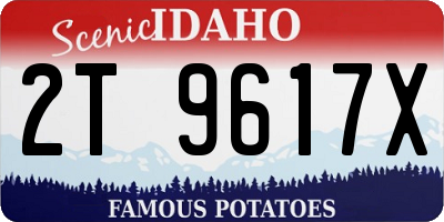 ID license plate 2T9617X