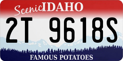 ID license plate 2T9618S