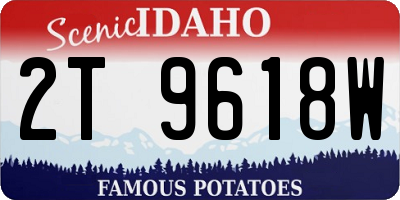 ID license plate 2T9618W