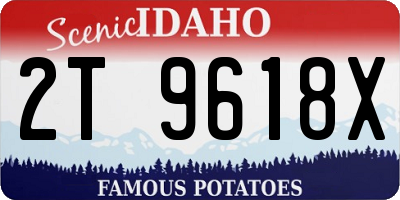 ID license plate 2T9618X