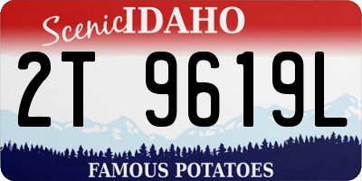 ID license plate 2T9619L