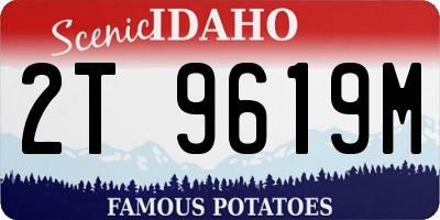 ID license plate 2T9619M