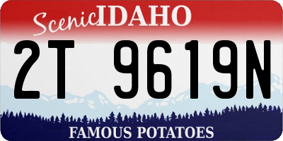 ID license plate 2T9619N