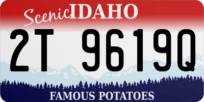 ID license plate 2T9619Q