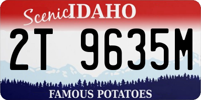 ID license plate 2T9635M