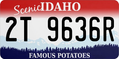 ID license plate 2T9636R