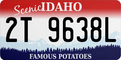 ID license plate 2T9638L