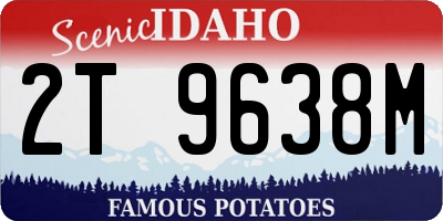 ID license plate 2T9638M