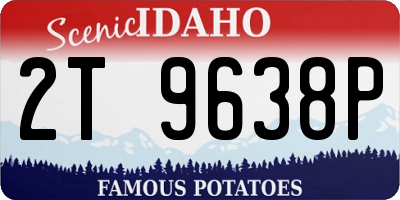 ID license plate 2T9638P