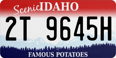 ID license plate 2T9645H