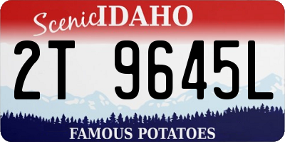 ID license plate 2T9645L