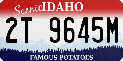 ID license plate 2T9645M
