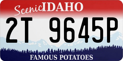 ID license plate 2T9645P