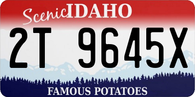 ID license plate 2T9645X