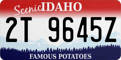 ID license plate 2T9645Z