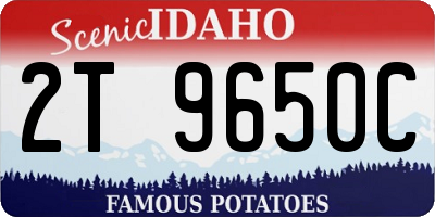 ID license plate 2T9650C