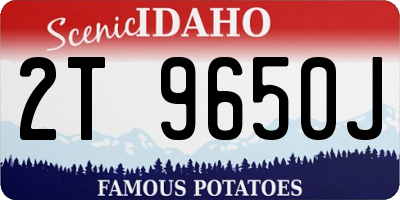 ID license plate 2T9650J