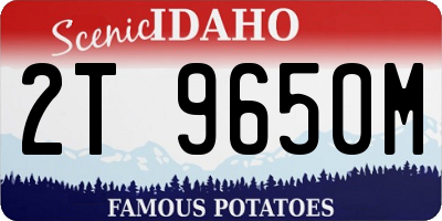ID license plate 2T9650M