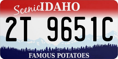 ID license plate 2T9651C