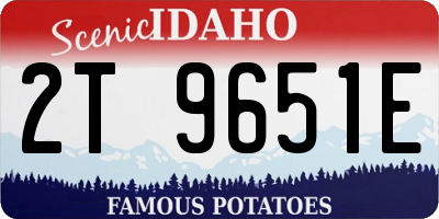 ID license plate 2T9651E