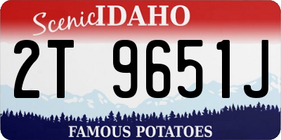 ID license plate 2T9651J