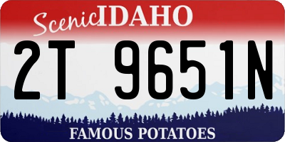 ID license plate 2T9651N