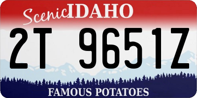 ID license plate 2T9651Z