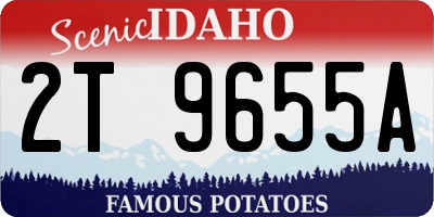 ID license plate 2T9655A