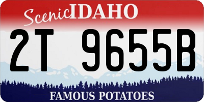 ID license plate 2T9655B