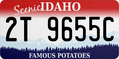 ID license plate 2T9655C