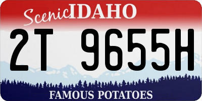 ID license plate 2T9655H