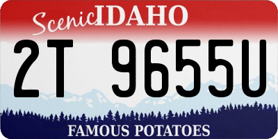 ID license plate 2T9655U