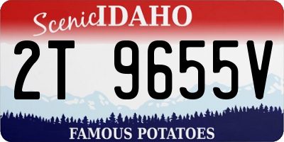 ID license plate 2T9655V